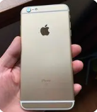 69-23042610222DO.jpg